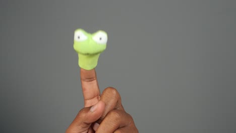 finger puppet frog