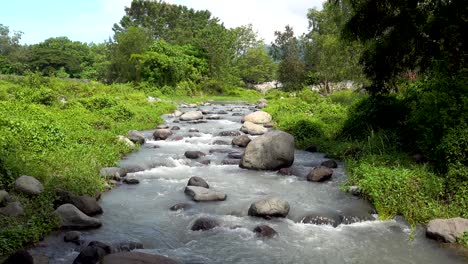 clear river stream passing by lush green grass and tress with boulders