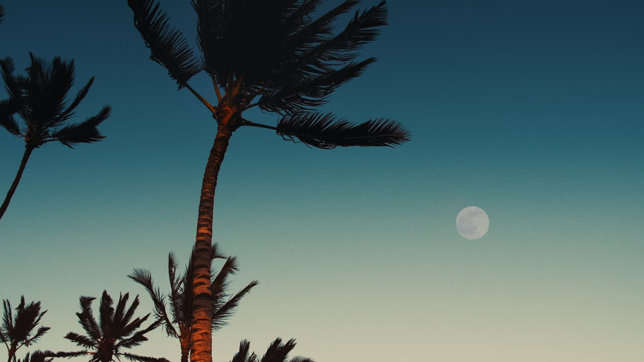 마우나 라니 리조트 입구 해가 지고 하와이 달 큰 섬