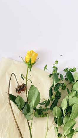 yellow rose and foliage arrangement