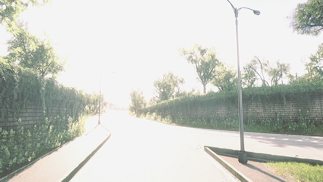 Bright sunlight illuminates a winding road bordered by lush greenery