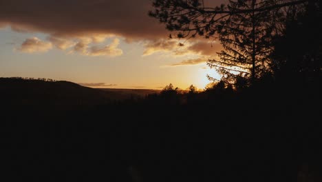 sunset in the spring-like black forest with great colors