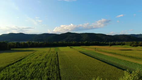 farm fields near the sava and ljubljanica river confluence east of the capital city of ljubljana slovenia, aerial drone flyover reveal shot