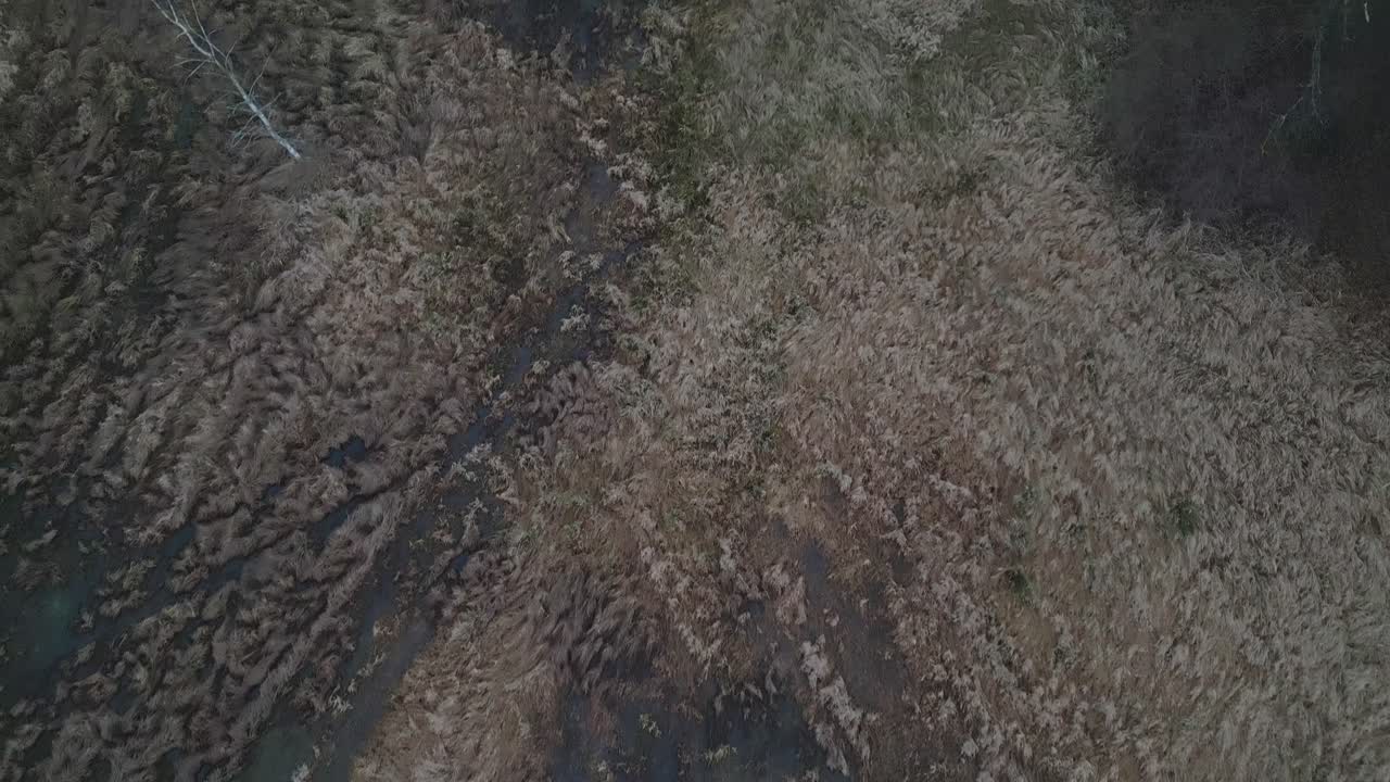 Ripresa aerea dall'alto che rivela un paesaggio naturale austero, creando un'atmosfera astratta