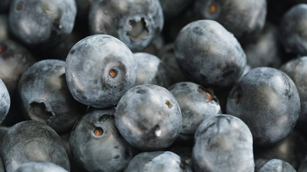 블루베리의 클로즈업