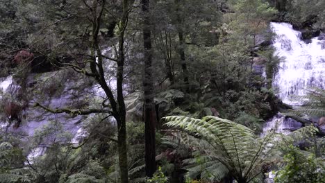 Two-waterfalls-flowing-in-rainforest