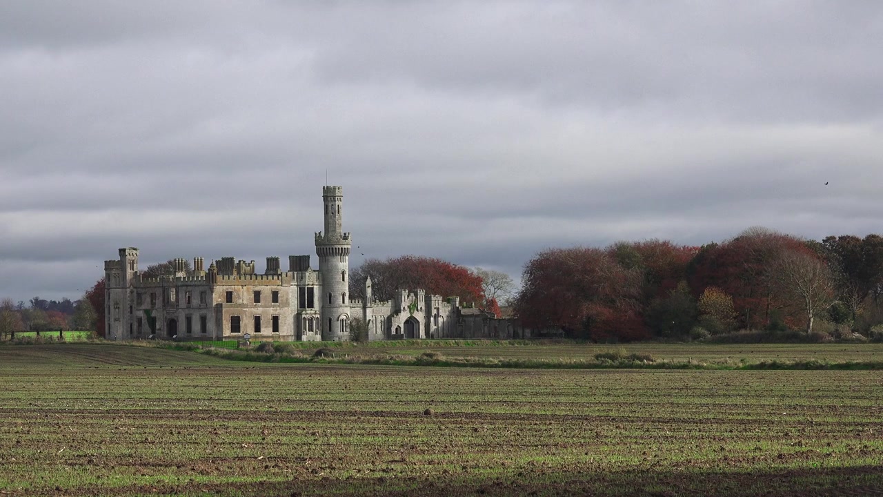 Irland, storslåede steder, tidlig morgen vinterlys, hjemsøgt slot, Ducketts Grove, Carlow, Irland