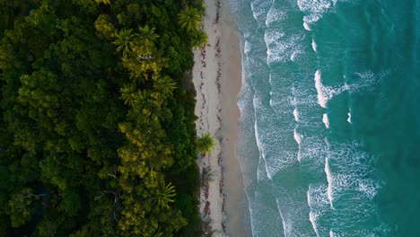 perfect beach at cape tribulation daintree rainforest