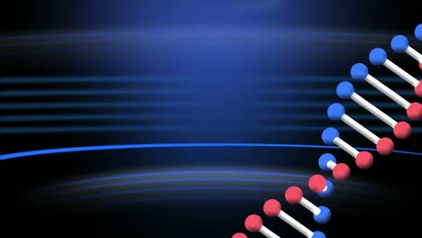 Animation-Eines-Rotierenden-DNA-Strangs-Mit-Blauen-Lichtspuren-Auf-Blauem-Hintergrund