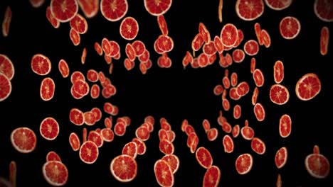 flying many dried oranges on black background. dehydrated fruits, food concept. 3d animation of sliced fruits oranges rotating. loop animation.