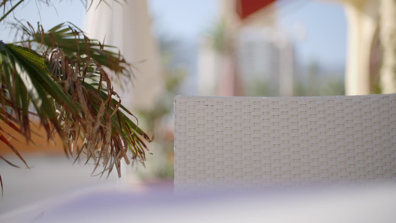 가지 가 흐릿 한 배경 에