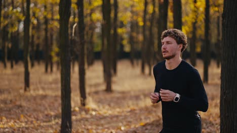 un hombre con cabello rizado y barba en un uniforme deportivo negro corre en el bosque de otoño por la mañana durante su carrera entre los árboles en el bosque soleado