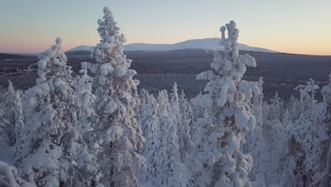 Toma-Aérea-Moviéndose-Entre-árboles-Revelando-Cayó-Montaña-Yllas-En-El-Fondo-En-Laponia-Finlandia