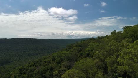 un bosque verde exuberante que se extiende hasta el horizonte