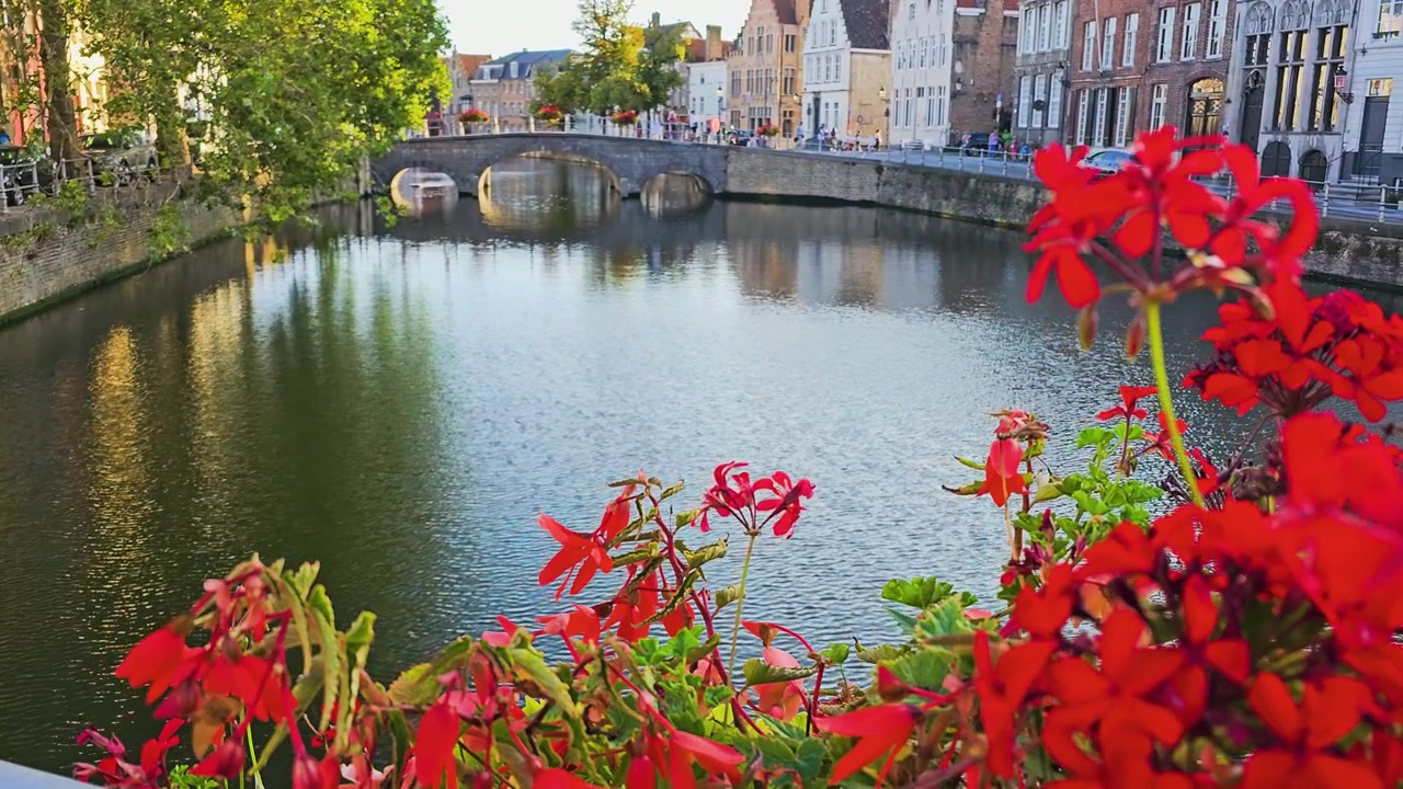 La telecamera si sposta dalla superficie dell'acqua a fiori colorati accanto a un canale tranquillo, con alberi, un vecchio ponte ad arco e affascinanti edifici nella calda luce della sera.