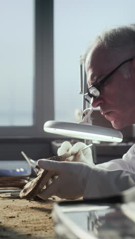 archaeologist examining fossil