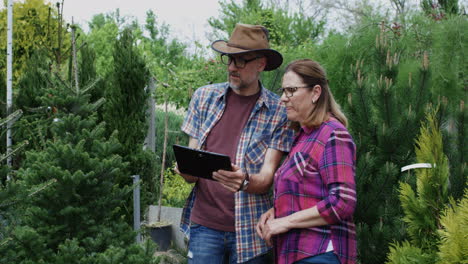 couple shopping for christmas trees at a garden center