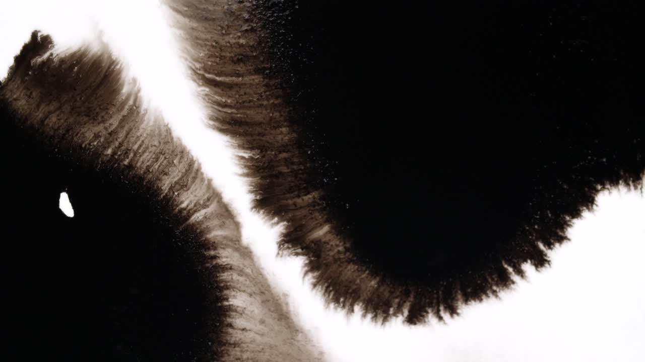 Black Ink Drops On White Background