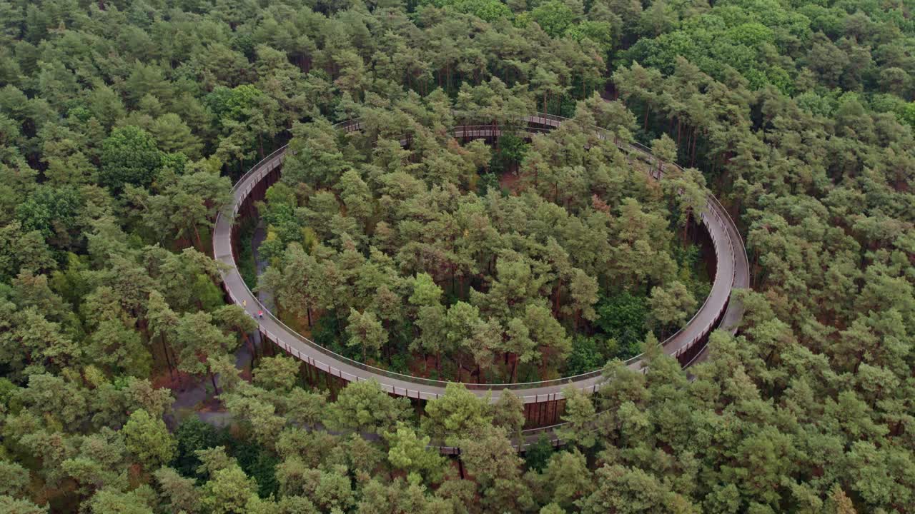 Hechtel-Eksel’s forest path with woman cycling