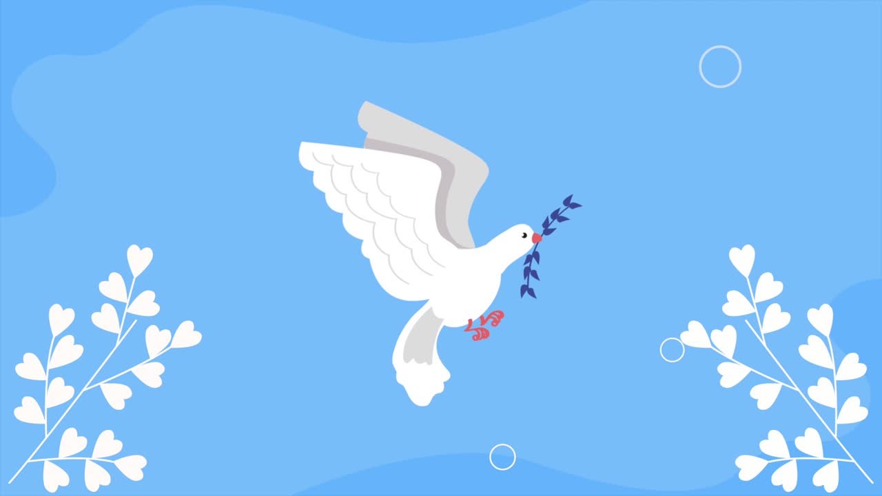 평화 비둘기 날아다니는 애니메이션