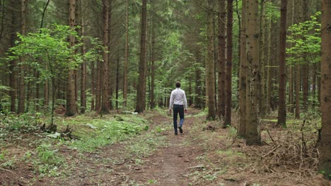 a man seen from behind, wearing a white shirt and jeans, walks away from the camera down a path into a dense, green coniferous forest. the shot symbolises a journey, solitude, and introspection.