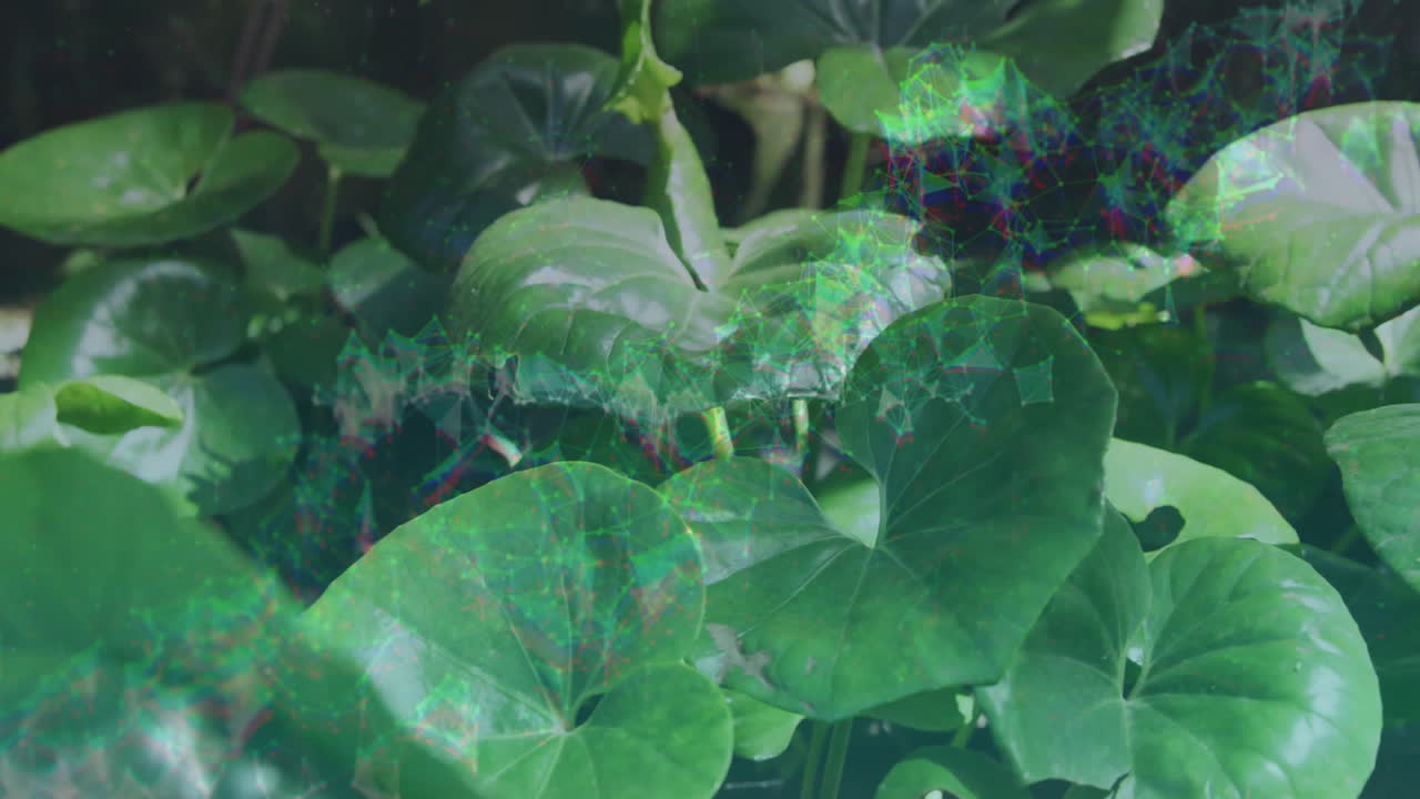 Digital network overlaying green leaves in nature, creating animated effect