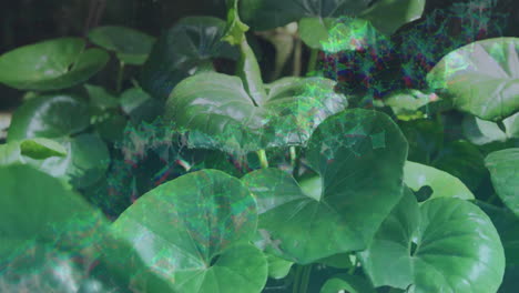 digital network overlaying green leaves in nature, creating animated effect