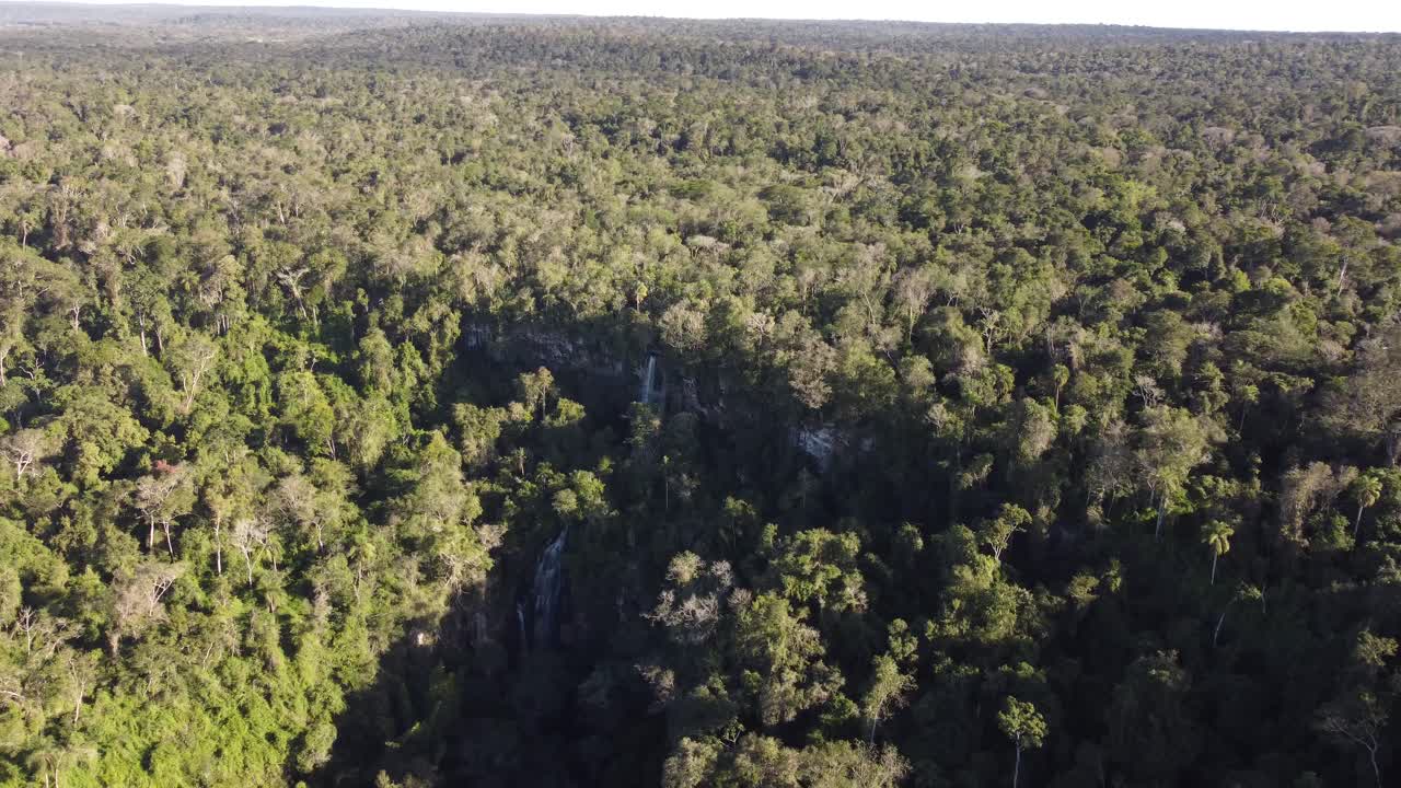 la cascada salto arrechea en medio de la selva del iguazú en la frontera entre argentina y brasil