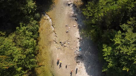 small green river in the middle of the forrest-1