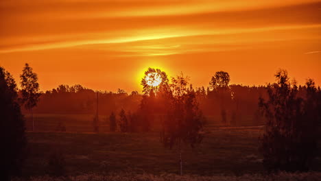 Lapso-De-Tiempo-Del-Sol-Amarillo-Naciente-De-Izquierda-A-Derecha-Contra-El-Cielo-Naranja-Con-Silueta-De-árboles