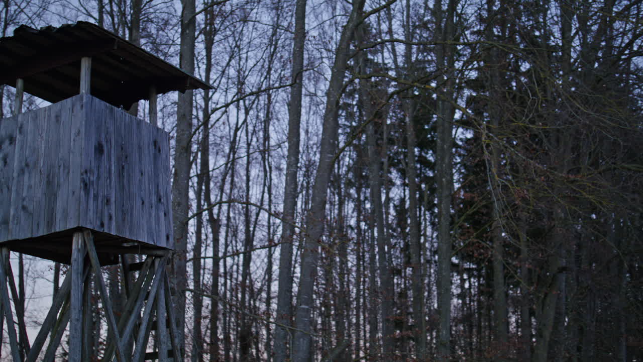 Medium close up shot of a hunting stand standing at the edge of a forest in Germany