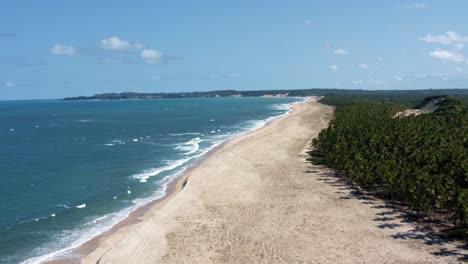 Dolly-out-aerial-drone-shot-of-the-tropical-coastline-of-Rio-Grande-do-Norte,-Brazil-with-a-white-untouched-beach,-blue-ocean-water,-and-palm-trees-in-between-Baia-Formosa-and-Barra-de-Cunha?