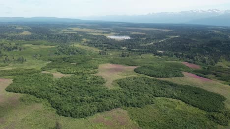 Vista-Aérea,-Vuelo-De-Drones-A-Lo-Largo-De-La-Carretera-Del-Extremo-Este-Cerca-De-Homer-Alaska