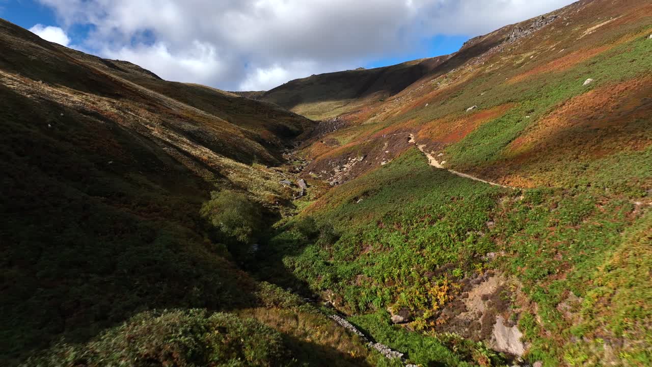 hermoso, colorido valle con arroyo y sendero, drone tirar lejos, día soleado