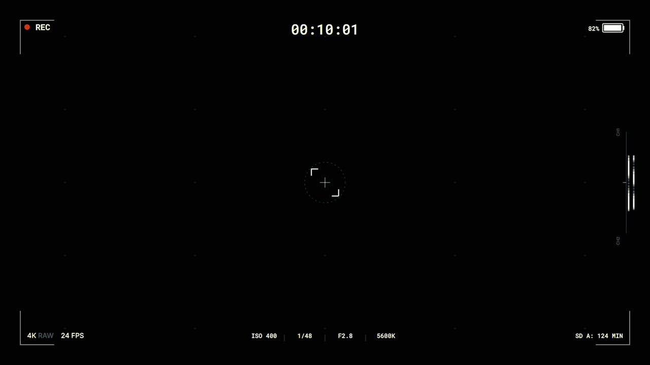 Digital Camera Viewfinder Overlay with Recording Interface