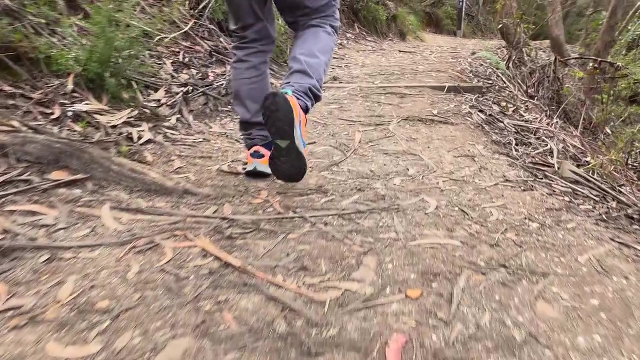 Inquadratura dal basso di un uomo che cammina lungo un sentiero nel bosco nelle Blue Mountains, Australia.