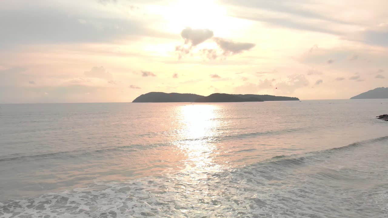 Slow forward movement passing a palm tree by the beach
