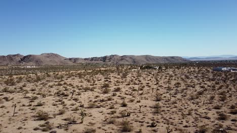 Aerial-rising-above-shubs-and-joshua-trees-in-the-desert-in-California