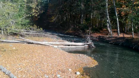 Pull-back-shot-of-river-with-rocky-beach-on-Cowichan-Lake-,Vancouver-Island-Canada