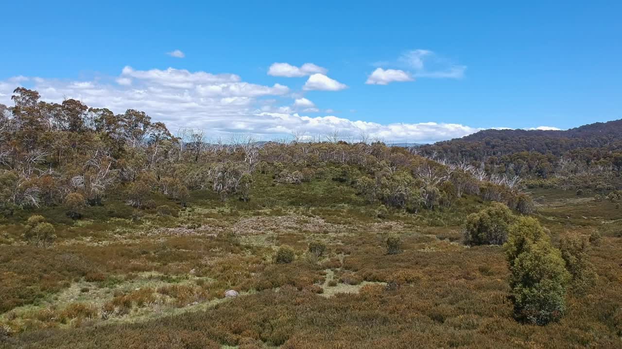 se eleva sobre el arbusto de la montaña revelando las montañas nevadas más allá
