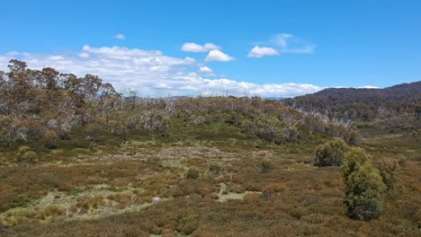 Rise-up-over-mountain-bush-revealing-the-Snowy-Mountains-beyond