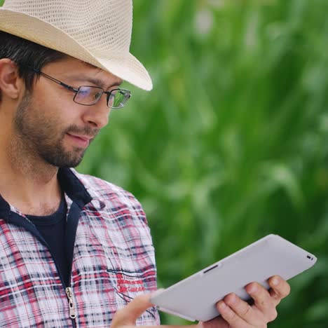 Agricultor-Trabaja-En-Un-Campo-De-Maíz-Utiliza-Una-Tableta-1