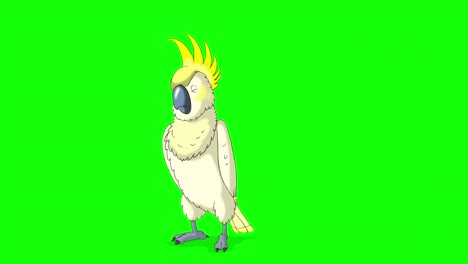 yellow cockatoo parrot