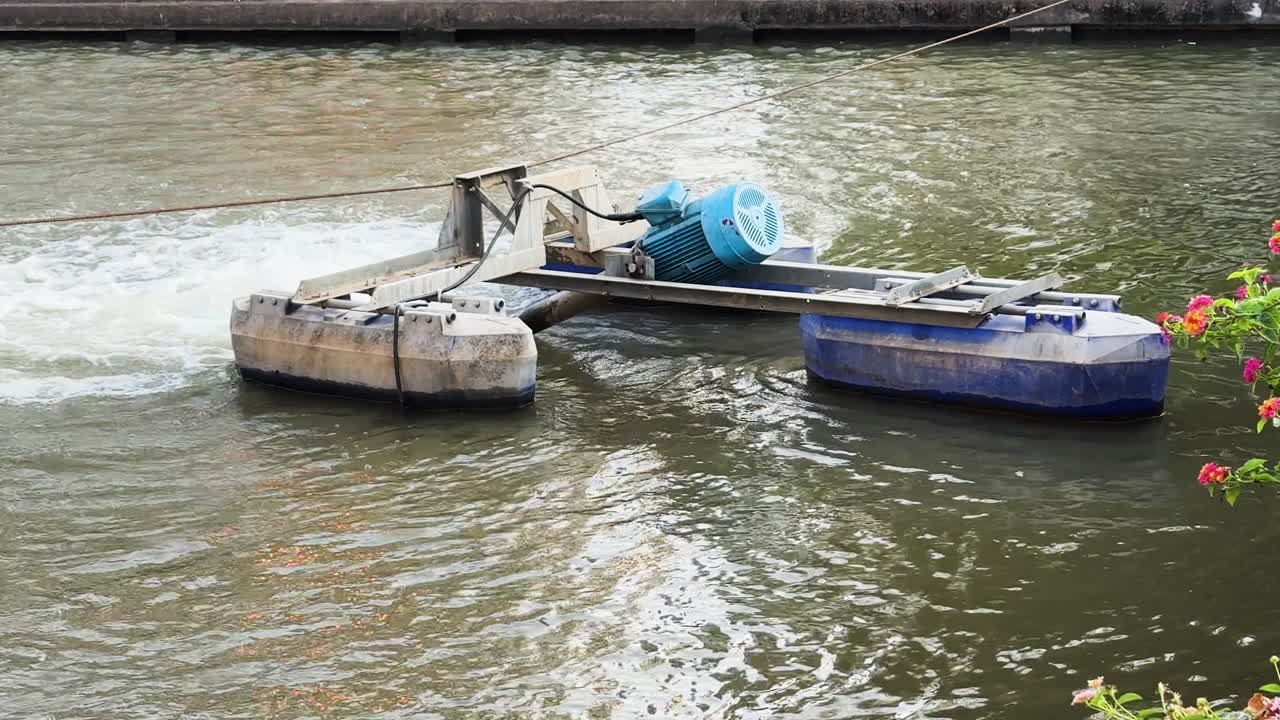 Lake cleaning machine Wat Chedi Luang Buddhist temple lake, Static shot