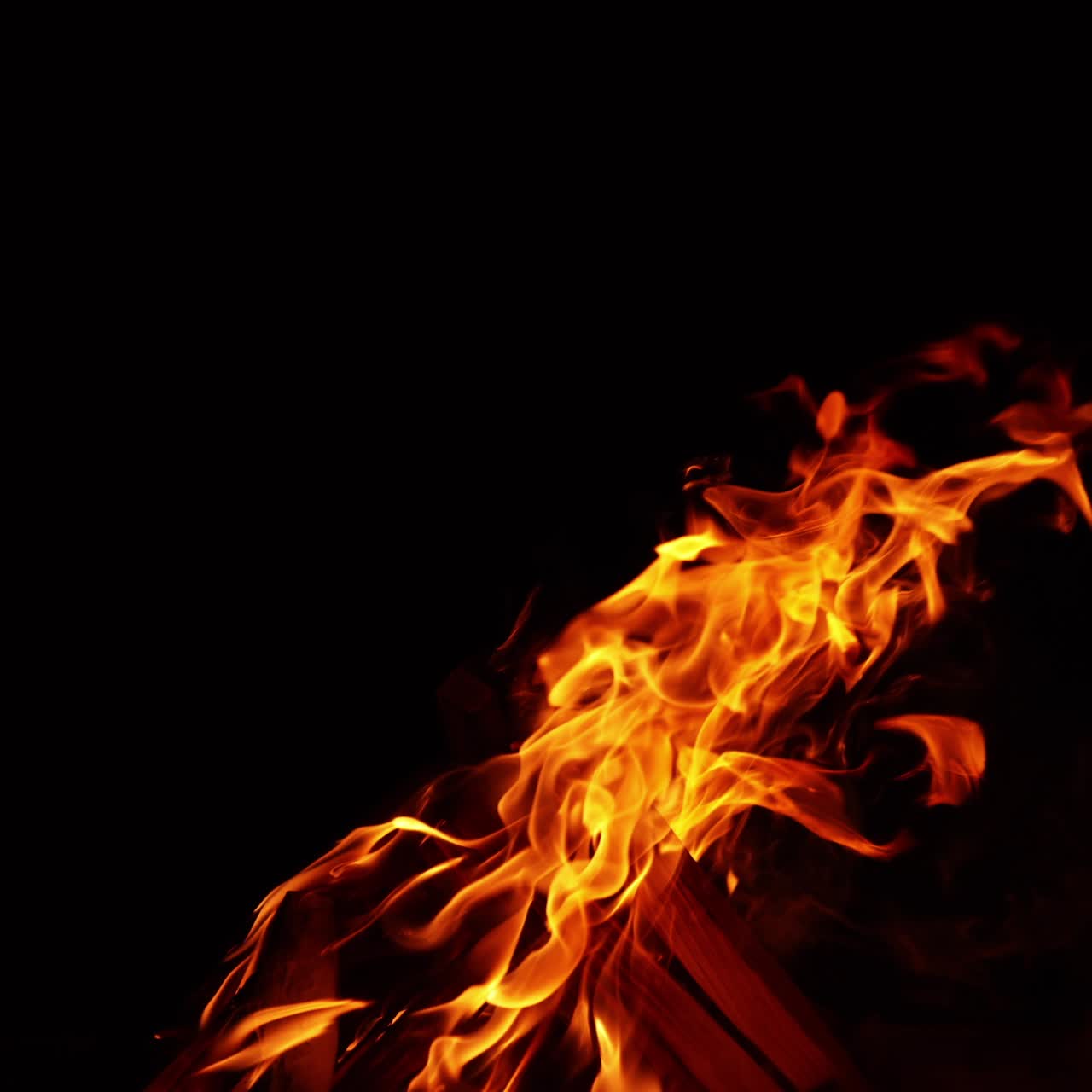 Træstammer i en bunke brænder med klare flammer. Bål blæst til venstre af vinden. Sort baggrund