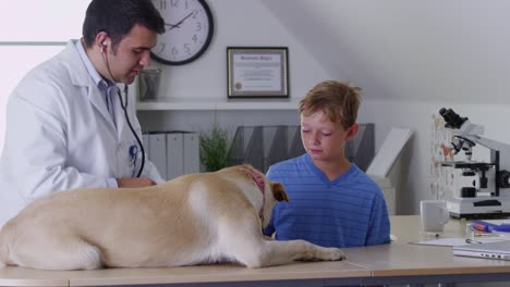 vet gives boys' dog a checkup