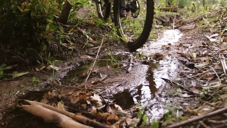 male mountain biker riding in the forest