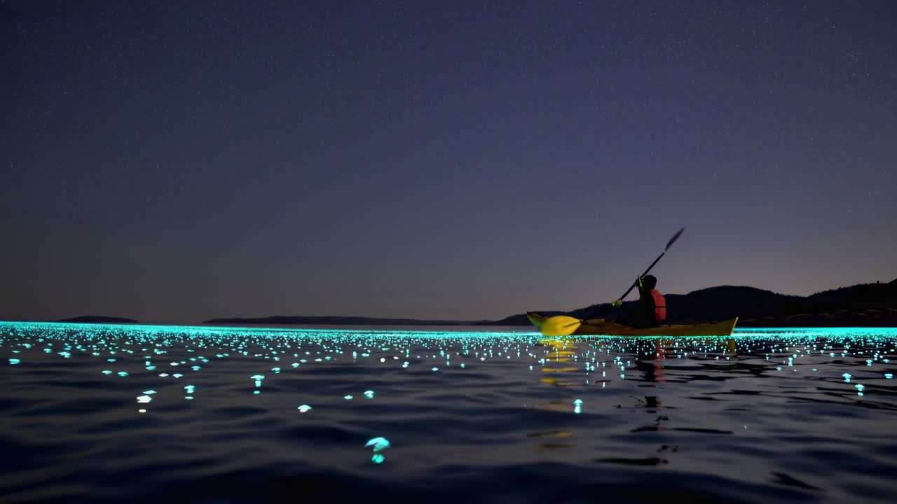 밤에는 바이올루미네센트 물을 타고 카야크를 타고