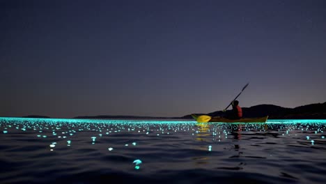 kayaking through bioluminescent water at night