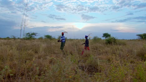 karamojong tour guides and caucasian tourist walking across savannah in uganda, africa - wide shot